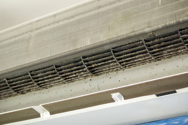 Best HVAC Air Duct Cleaning  in Wilkinson Heights, SC
